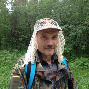 сетка Павловского